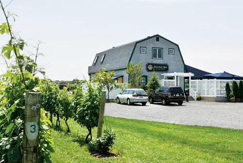 Peconic Bay Vineyards - NYC Wine Tours